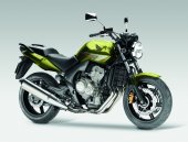 2011 Honda CBF600N photo